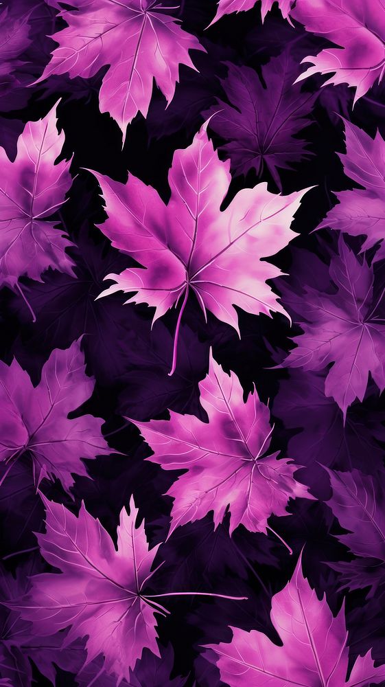 Purple maple leaf pattern background backgrounds plant tree.
