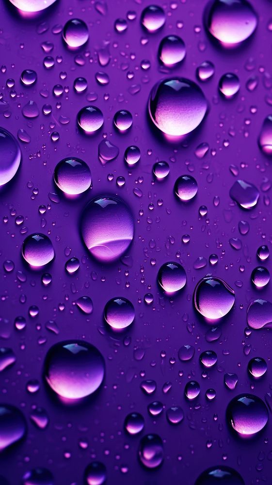 Purple water droplets background backgrounds condensation transparent.