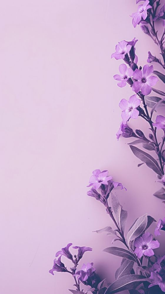 Simple pastel purple botanical background backgrounds flower petal.