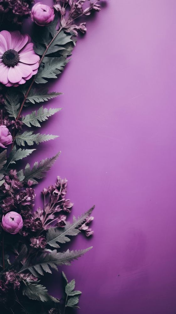 Simple purple botanical background backgrounds flower plant.