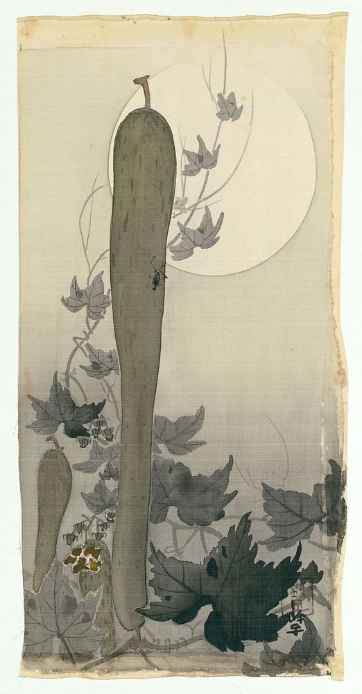 Wilde komkommer met volle maan (1887 - 1945) by Ohara Koson