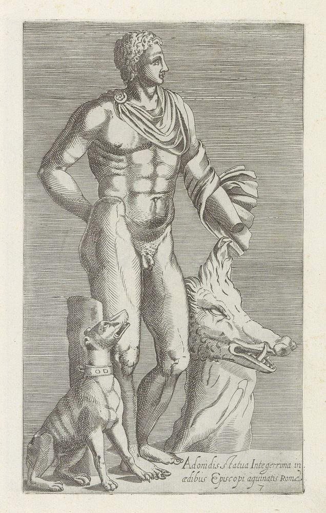 Sculptuur van Adonis met jachthond en kop van een everzwijn (1584) by anonymous and Andrea Vaccari