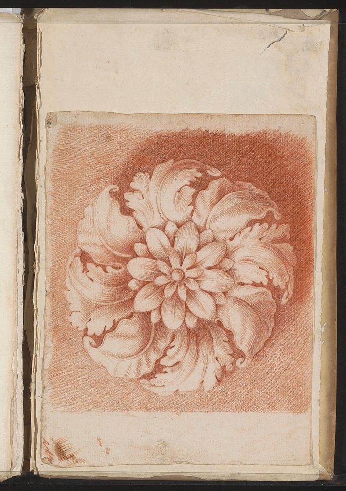 Floraal ornament (c. 1701) by Jacob Toorenvliet