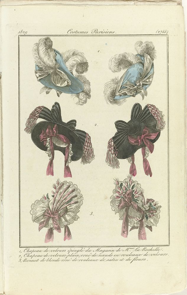 Journal des Dames et des Modes 1829, Costumes Parisiens (2755) (1829) by anonymous
