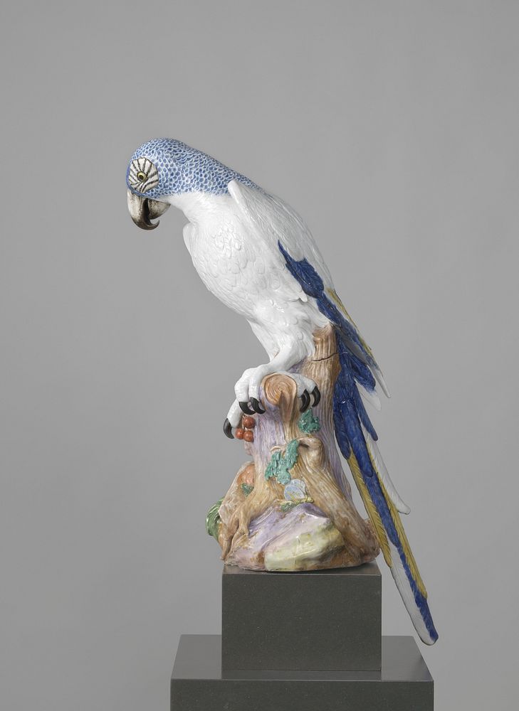 Blue Macaw (1731) by Meissener Porzellan Manufaktur, Johann Joachim Kändler and Johann Gottlieb Kirchner