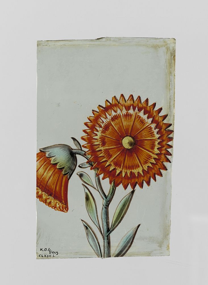 Ruit met gekartelde bloem (1550 - 1600) by anonymous