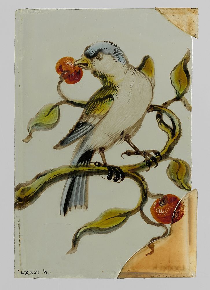 Ruit met een vogel op een tak met kersen (c. 1650 - c. 1675) by anonymous