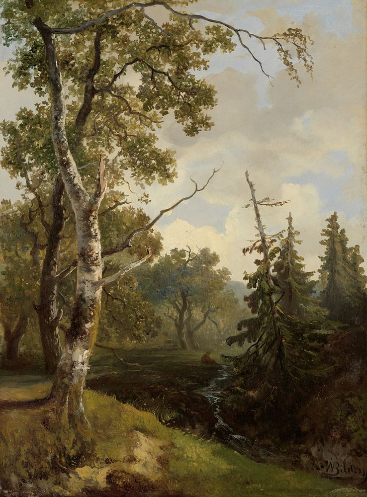 Bosgezicht bij Wolfheze. (1860 - 1890) by Johannes Warnardus Bilders