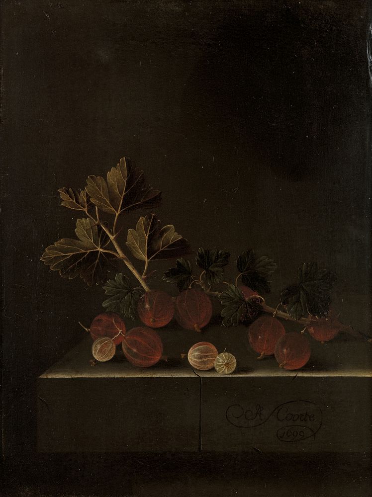 A Sprig of Gooseberries on a Stone Plinth (1699) by Adriaen Coorte
