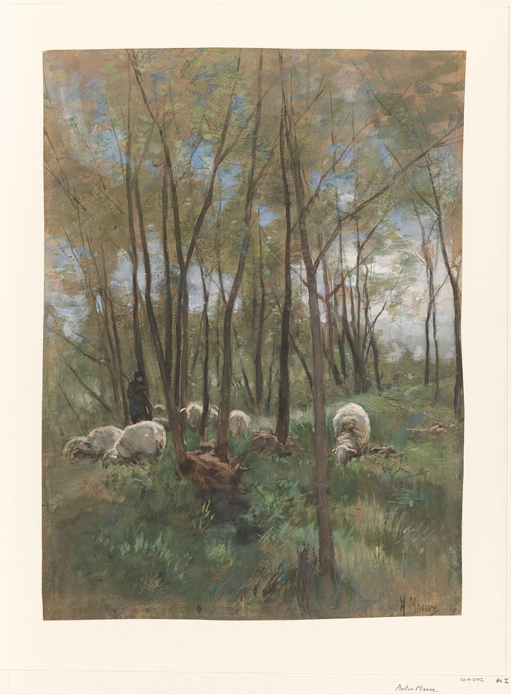 Schapenkudde in een bos (1848 - 1888) by Anton Mauve