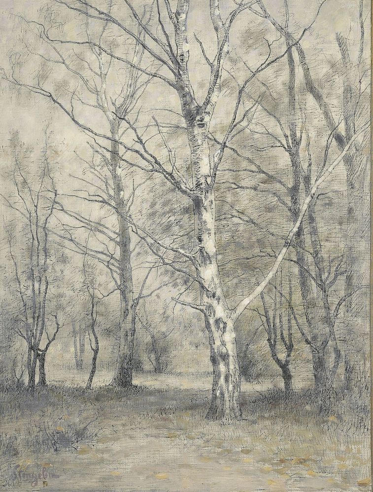 Bos met berkebomen (1875 - 1910) by Alphonse Stengelin