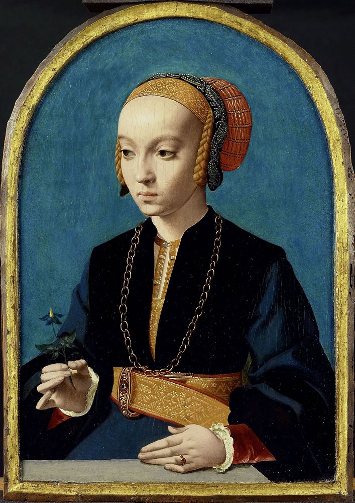 Portrait of Elisabeth Bellinghausen (c.1520- after 1570) (1538 - 1539) by Bartholomäus Bruyn I