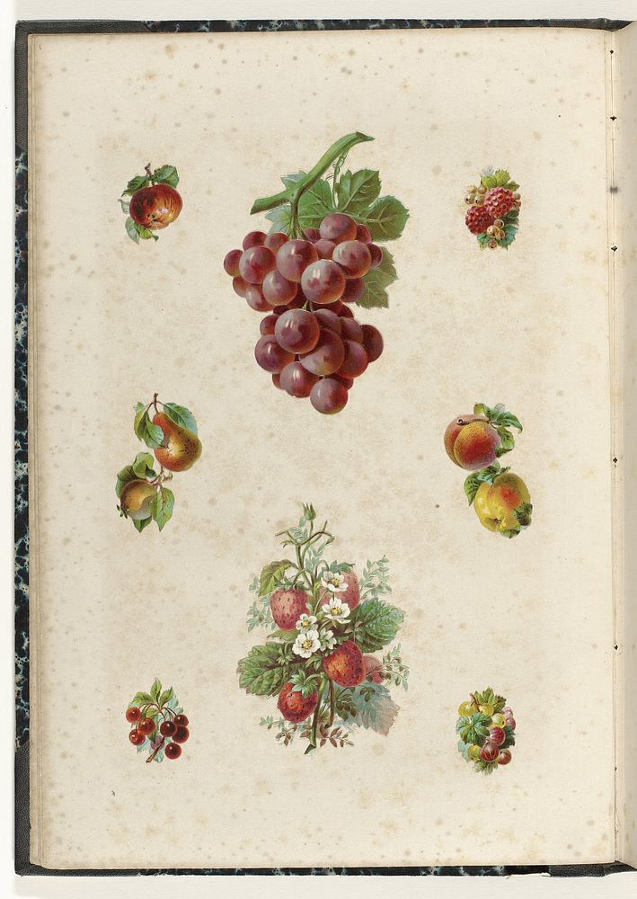 Acht poëzieplaatjes met vruchten (c. 1866 - c. 1900) by anonymous and anonymous