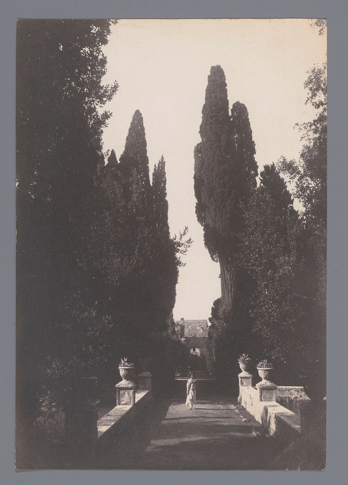 Cipressen in de tuinen van Villa d'Este, Tivoli (1880 - 1910) by Guglielmo von Plüschow