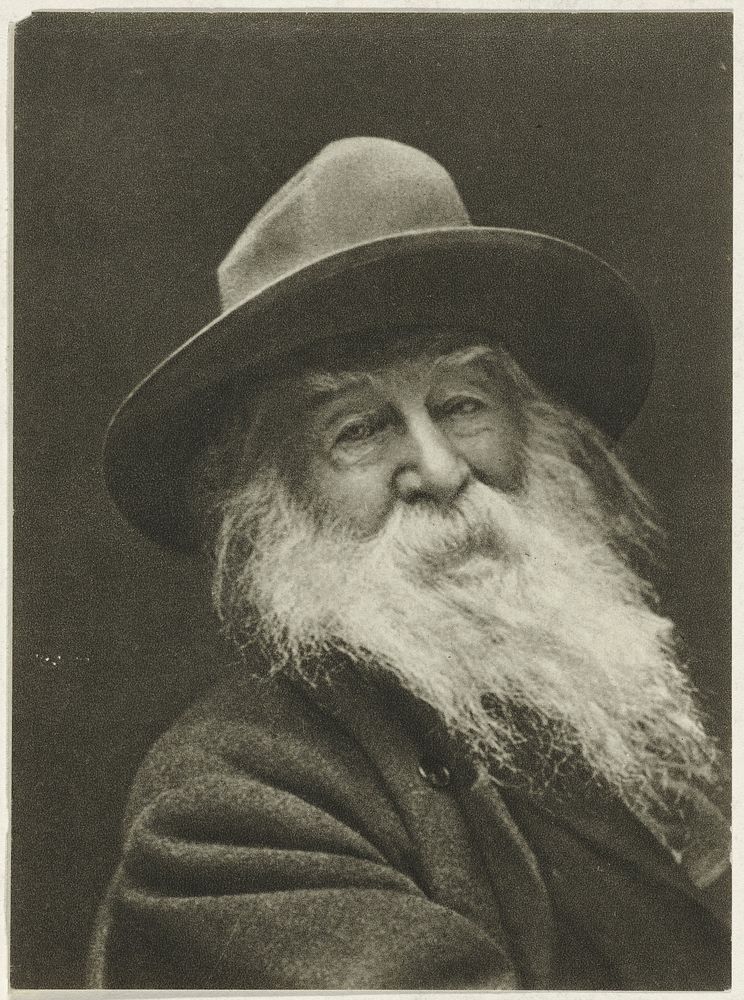 Portret van de dichter Walt Whitman (1887) by George C Cox and anonymous