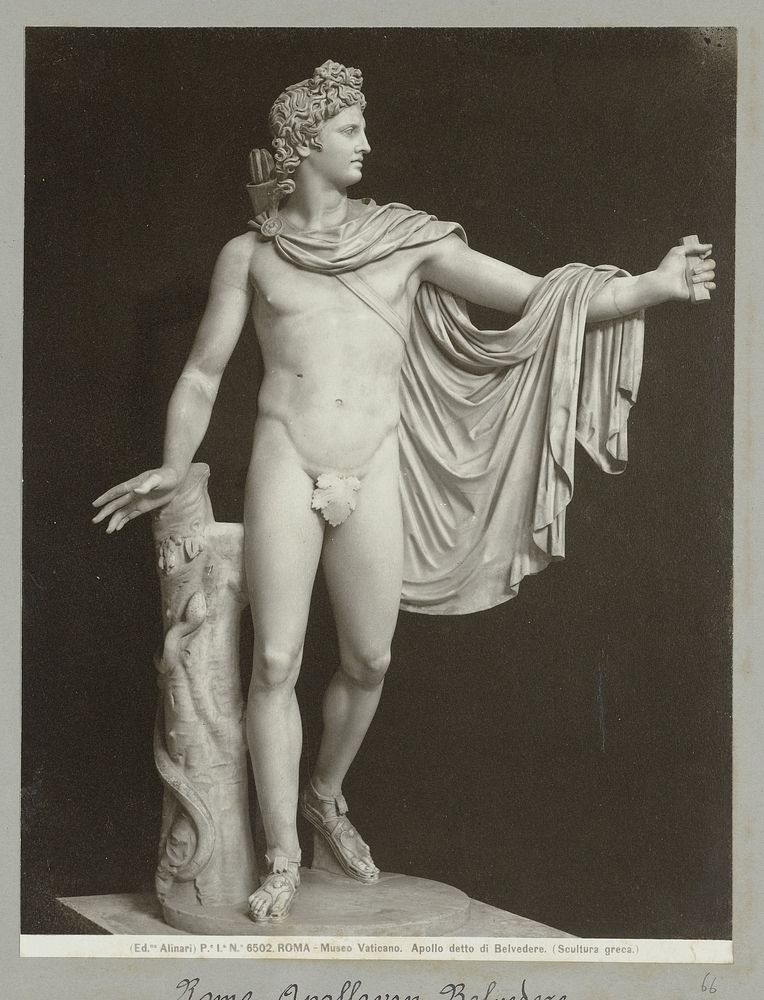 Apollo Belvedere (c. 1893 - c. 1903) by Fratelli Alinari