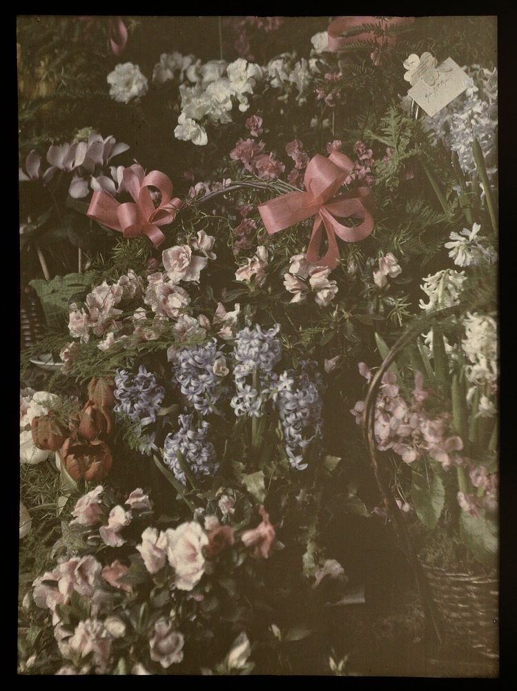 Bossen bloemen met strik, mand en kaartje (1907 - 1930) by anonymous
