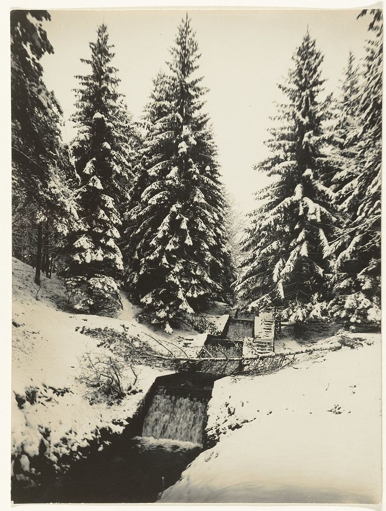 Waterval bij Loenen in de sneeuw (1900 - 1930) by Richard Tepe