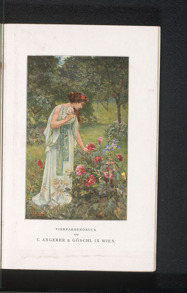 Reproductie van een voorstelling van een onbekende vrouw bij een rozenstruik (c. 1894 - in or before 1899) by C Angerer and…