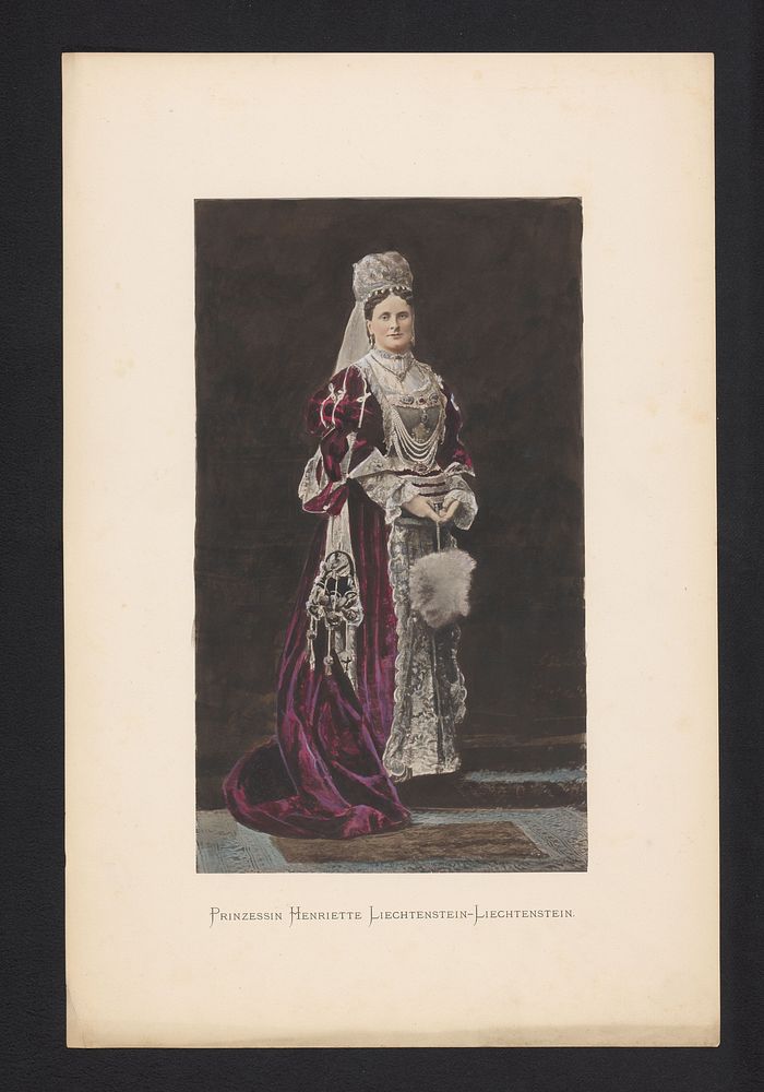 Portret van prinses Henriette van Liechtenstein (1880 - 1881) by anonymous
