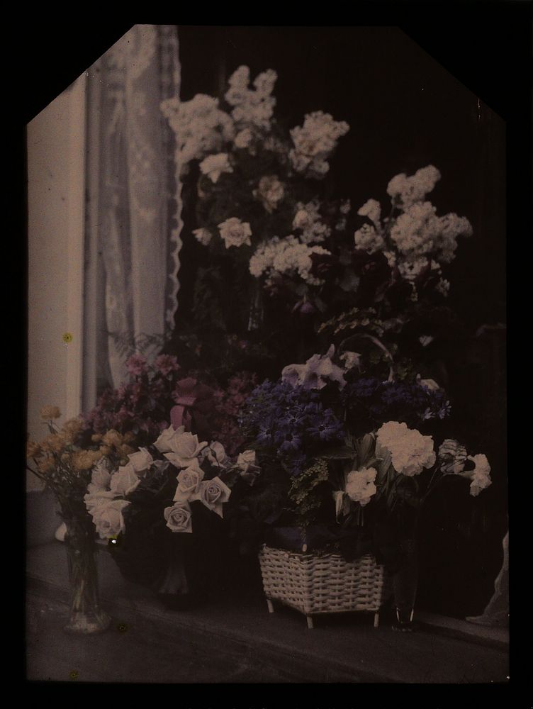 Bloemen op de vensterbank (c. 1907 - c. 1935) by anonymous