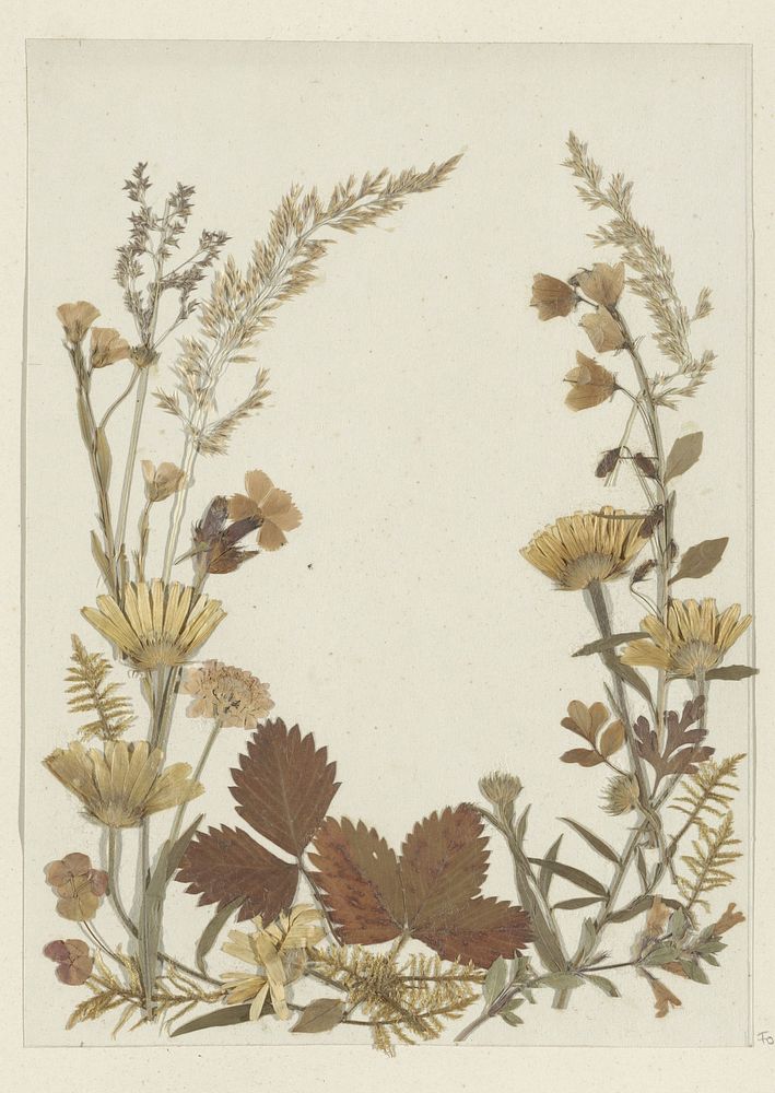 Collage van bloemen, vermoedelijk uit de Alpen (c. 1860 - c. 1890) by anonymous