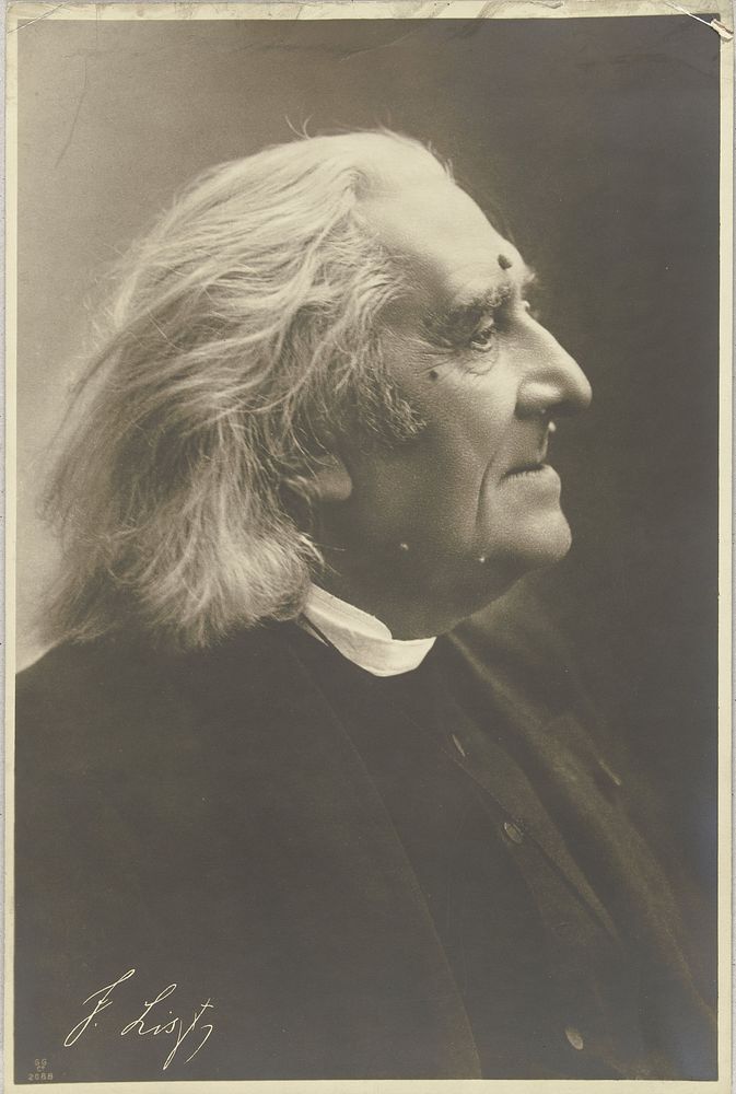 Portret van Franz Liszt (c. 1880 - c. 1900) by Rijshouwer s Establishment