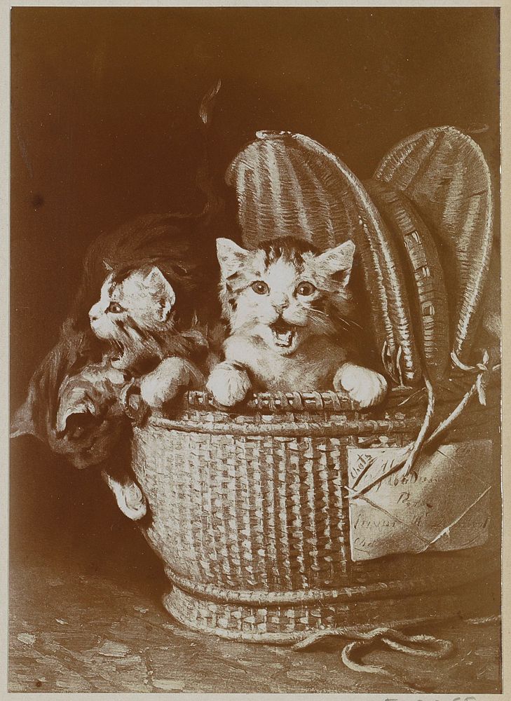 Fotoreproductie van een schilderij met jonge katten in een mand van Eugène Lambert (c. 1900 - c. 1910) by anonymous