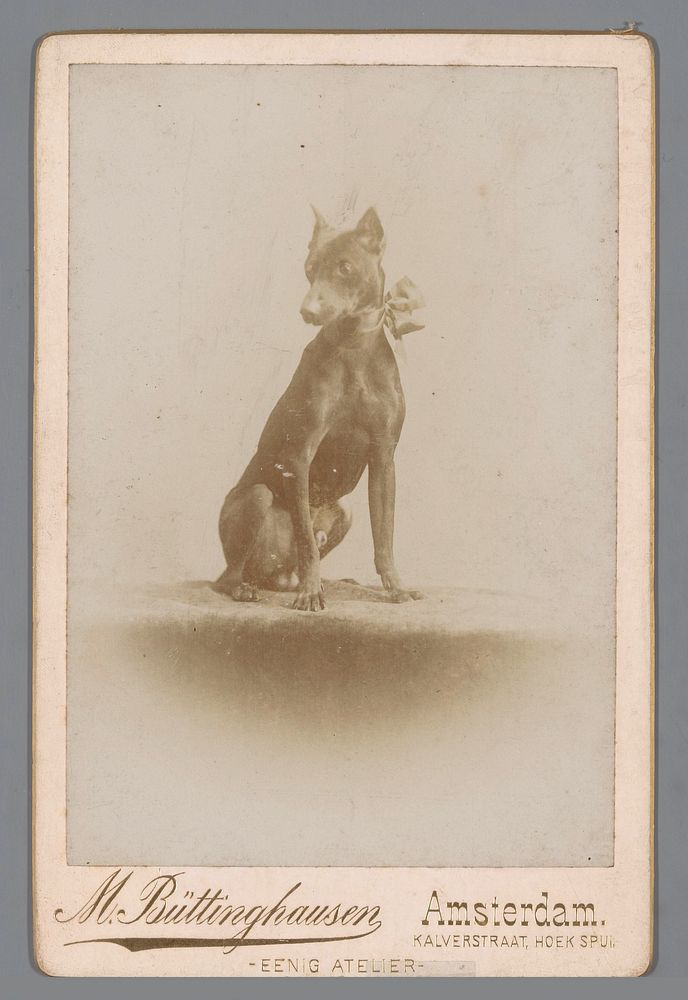 Hond (c. 1886 - c. 1895) by Max Büttinghausen
