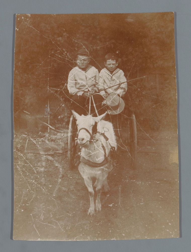 Portret van twee jongens op een bokkenwagen (c. 1895 - c. 1915) by anonymous