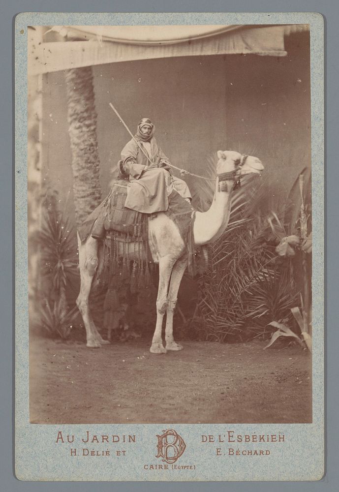 Man op een kameel (1869 - 1890) by Délié and Béchard, Hippolyte Délié and Emile Béchard