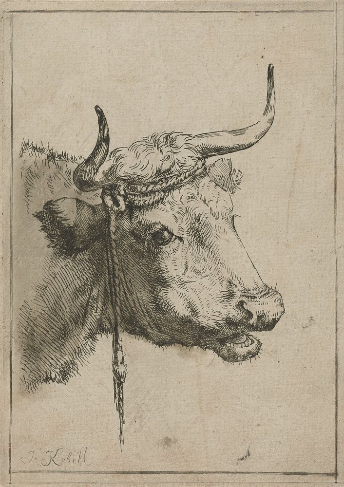 Kop van een koe (1801) by Jan Kobell II