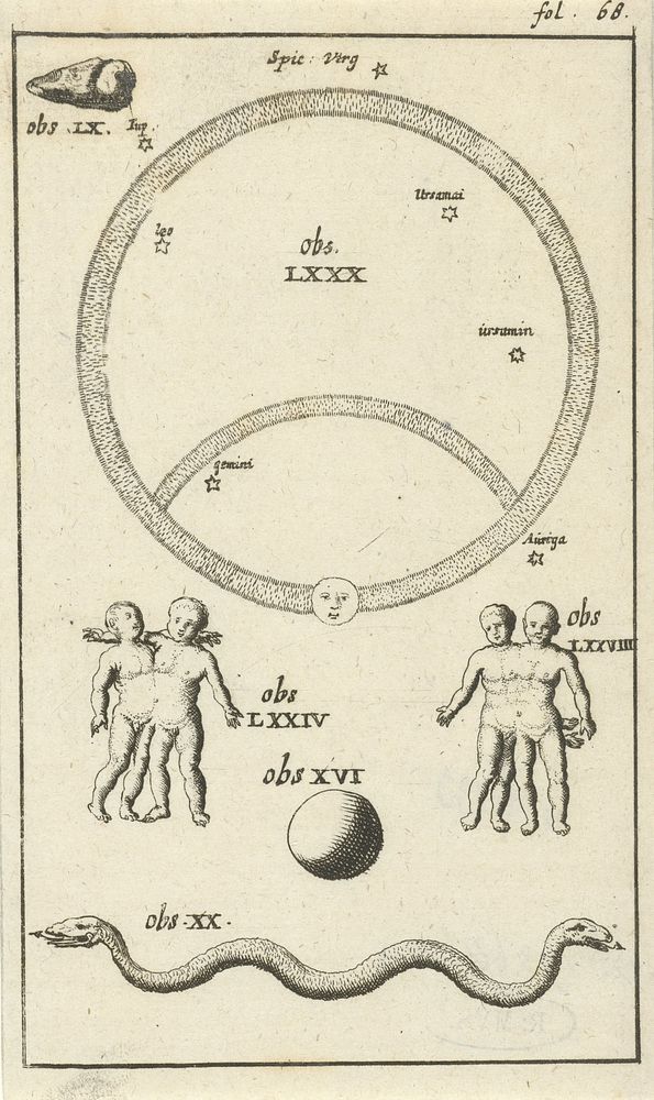 Anatomische afbeelding IV (1680 - 1688) by Jan Luyken and Jan Claesz ten Hoorn