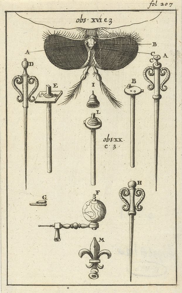 Anatomische afbeelding VIII (1680 - 1688) by Jan Luyken and Jan Claesz ten Hoorn