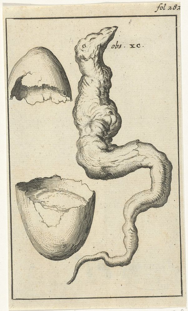 Anatomische afbeelding IX (1680 - 1688) by Jan Luyken and Jan Claesz ten Hoorn