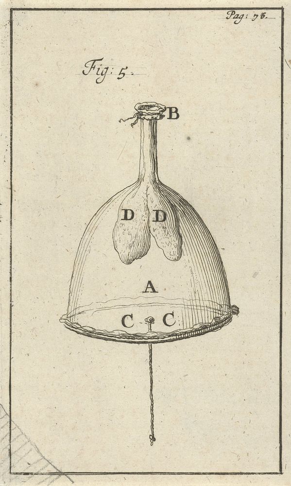 Luchtpomp met blazen, fig. 5 (1683) by Jan Luyken and Jan Claesz ten Hoorn