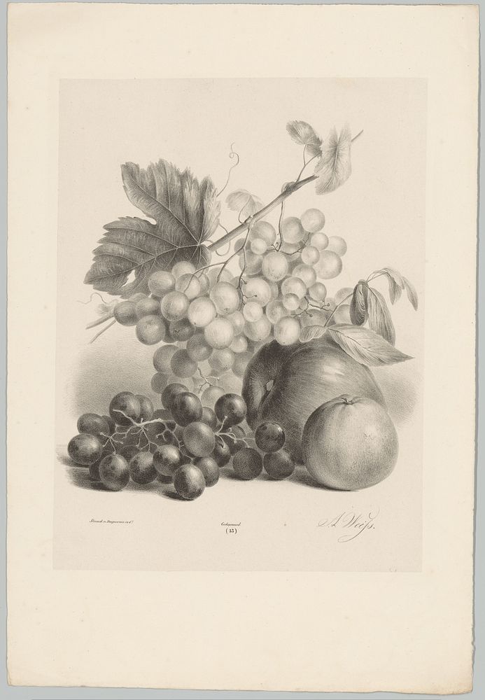 Rode en witte druiven en appels (1836) by Anton Weiss, Desguerrois and Co and Desguerrois and Co