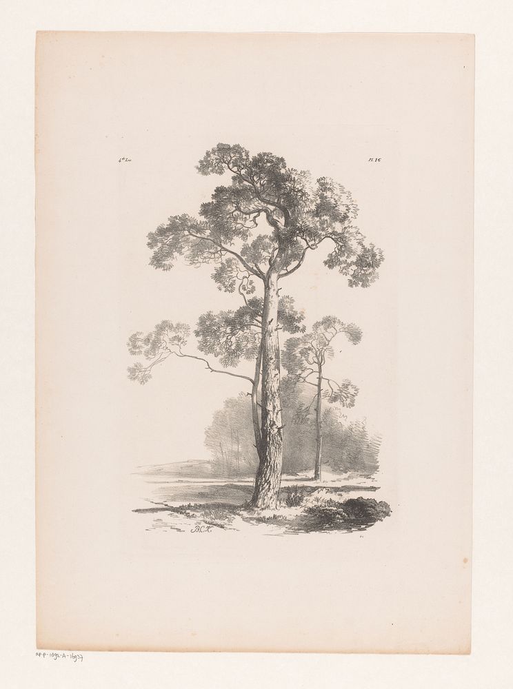 Boom in landschap (1844 - 1845) by Barend Cornelis Koekkoek