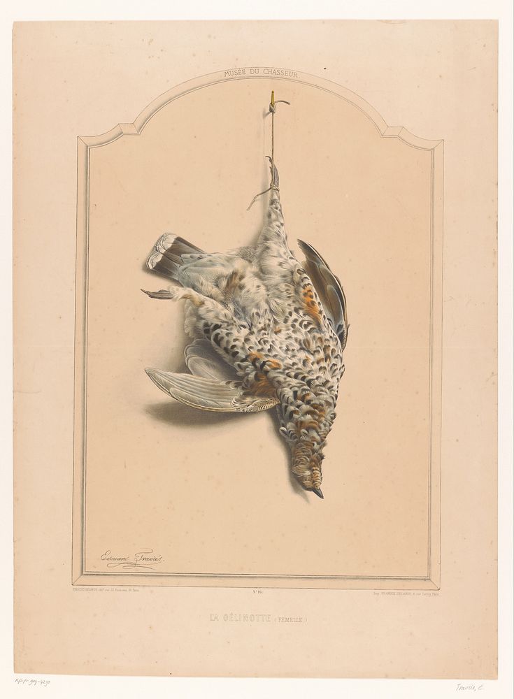 Dode vrouwelijke hazelhoen (Bonasia bonasia) hangend aan een poot (1851 - 1870) by Edouard Traviès, François Delarue and…