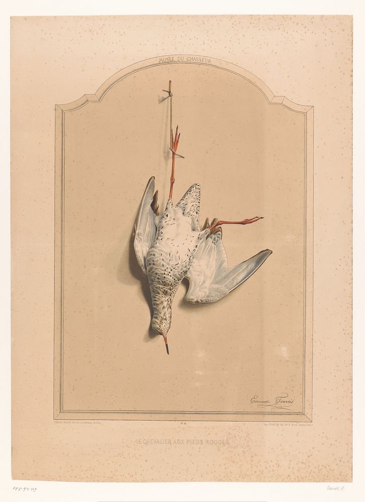 Dode tureluur hangend aan een poot (1851 - 1870) by Edouard Traviès, François Delarue and François Delarue