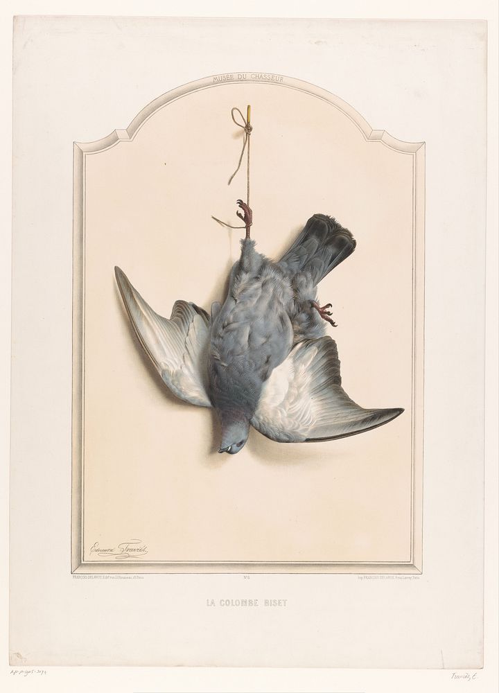 Dode rotsduif hangend aan een poot (1851 - 1870) by Edouard Traviès, François Delarue and François Delarue