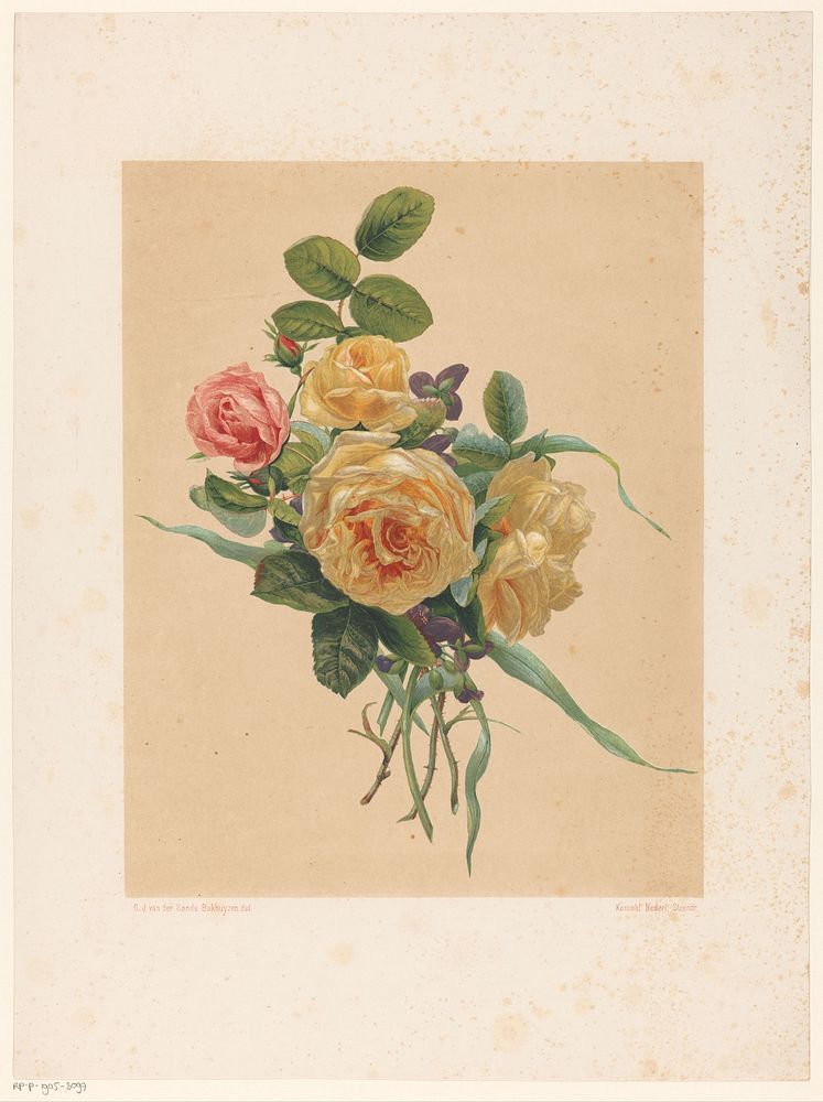 Bos rozen en violen (1845 - c. 1865) by anonymous, Gerardina Jacoba van de Sande Bakhuyzen, Koninklijke Nederlandse…