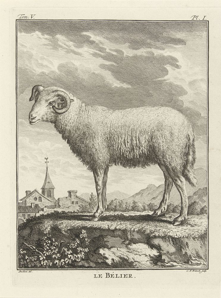 Ram (1729 - 1774) by Christian Friedrich Fritzsch and De Sere
