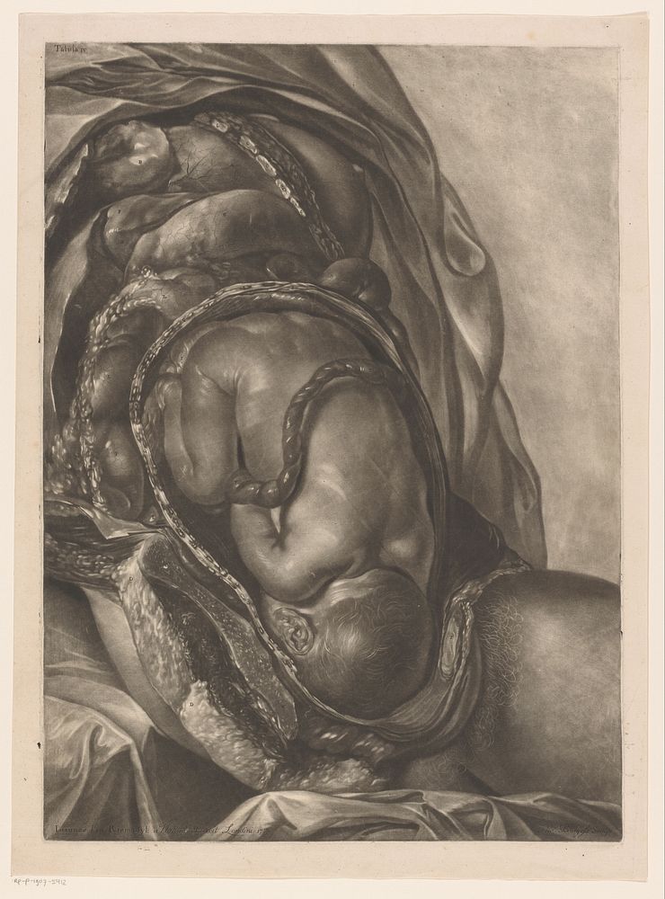 Anatomie van vrouw met ongeboren baby in de baarmoeder (1757) by Thomas Burgess I, Jan van Rijmsdijck and Charles Nicholas…