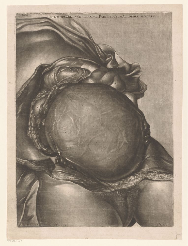 Anatomie van een vrouw met ontlede buik en baarmoeder (1757) by Edward Fisher, Jan van Rijmsdijck and Charles Nicholas Jenty
