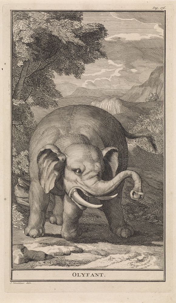 Bergachtig landschap met een olifant (1727) by Jan Wandelaar and Jan Wandelaar