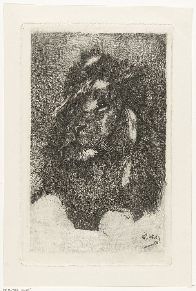 Kop van een leeuw (1884) by Gerard Jan Bos