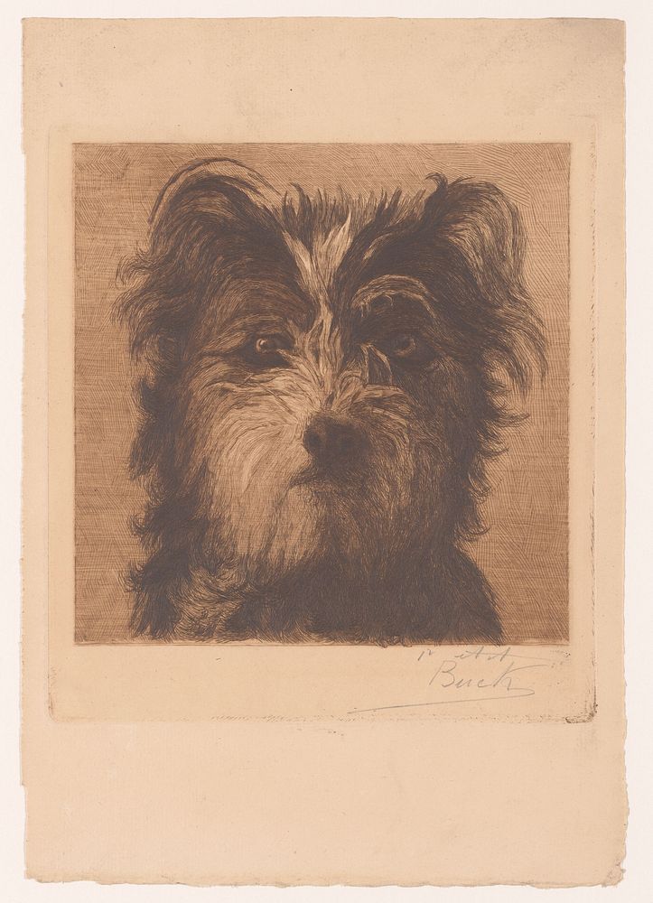 Hondenkop (c. 1870 - 1909) by Florimond Buyck