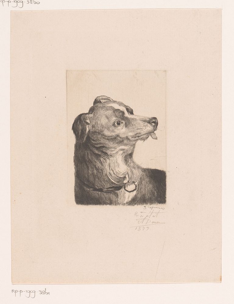 Kop van een hond met de tong uit de bek (1879) by Auguste Danse