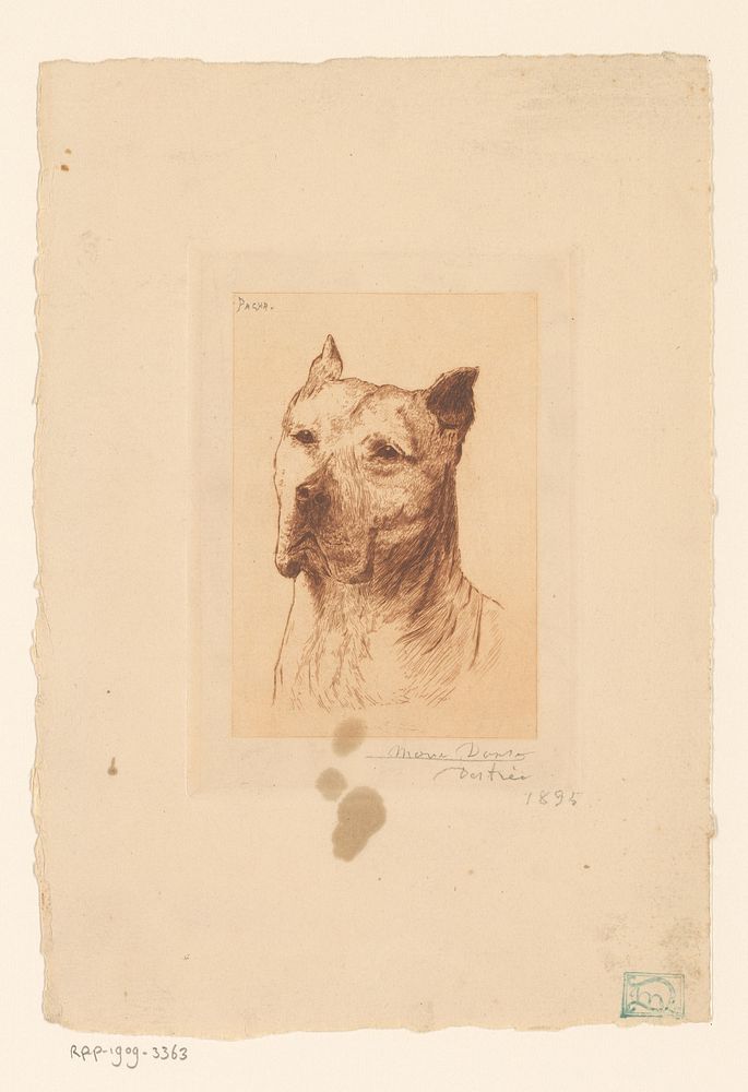 Portret van hond Pacha (1894 - 1895) by Marie Danse